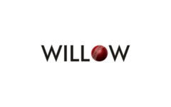 Willow